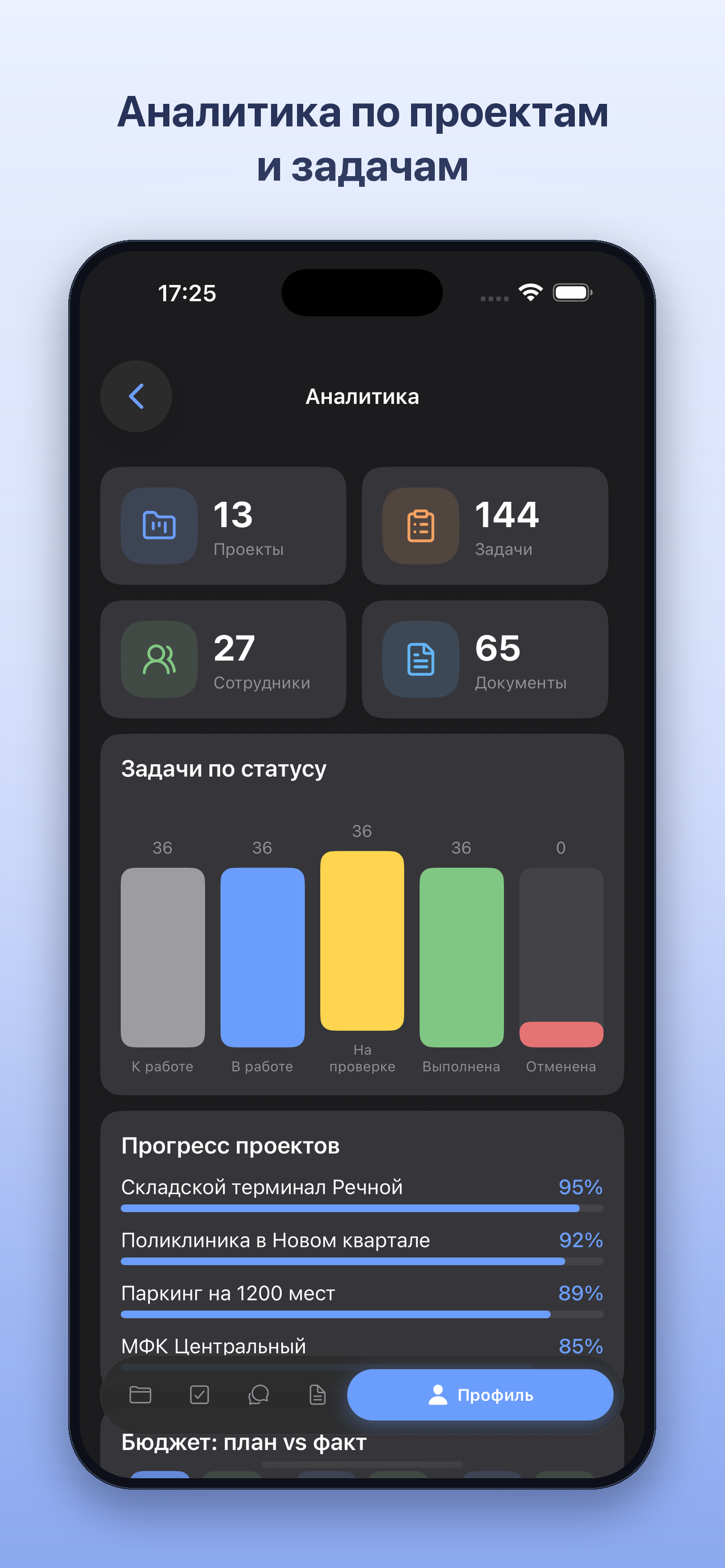 KimikERP — аналитика по проектам и задачам (iPhone)